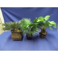 Lot Of 3 Artificial Plants